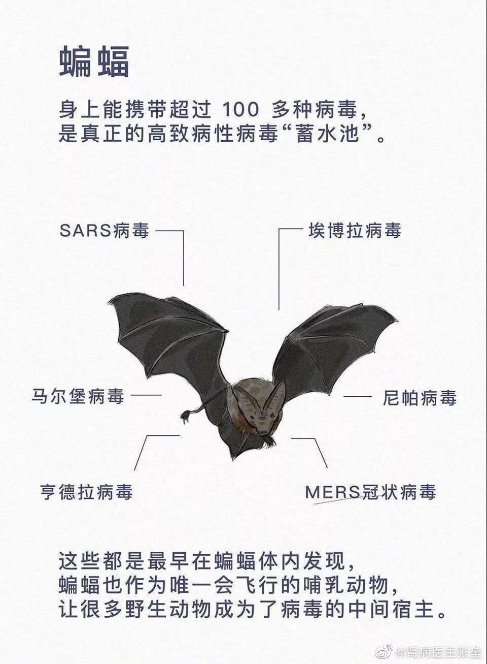 這10道與疫情有關(guān)的作業(yè)題，你的孩子會(huì)如何作答？