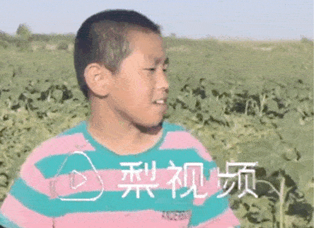 這位11歲男孩的暑假生活，被網(wǎng)友狂贊